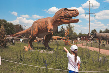 A Child In A Dinosaur Park Looks At A Tyrannosaurus Rex.