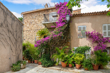 Wall Mural - Colorful purple bougainvillea flowers line the narrow streets of the Old Town area of the medieval village of Grimaud, France, in the hills above Saint-Tropez on the Cote d'Azur.