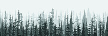 Coniferous Forest In The Morning Haze, Vector Banner