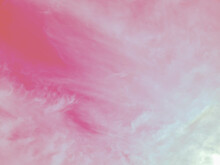 Abstract Nature Background. Pink Skies And Clouds As Soft As Feathers.