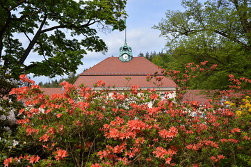 Wall Mural - Historisches Bauwerk im Frühling in der Kur Stadt Bad Elster, Sachsen