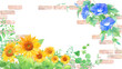 © Keiko Takamatsu - 夏の花。ヒマワリとアサガオとレンガの装飾フレーム。水彩イラスト。
