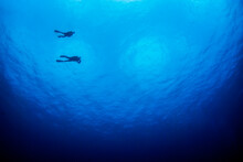 Blue Ocean Background With A Lot Of Copy Space And A Silhouette Of A Couple Of Divers