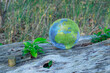 Lensball - Natur - Kristallkugel - Transparenz  - Zerbrechlich - Ecology - Crystal Glass Sphere - Bioeconomy - Creative - Reflection - High quality photo with Copy Space