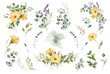 Watercolor meadow flowers and herbs. Daisy, calendula, lavender,  eucalyptus branches and leaves. Summer floral clipart for greeting cards and invitations, natural prod ucts wrapping, logo and fabric.