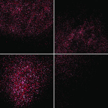 Set Pink Glitter Texture On A Black Background. Pink Explosion Of Confetti. Vector Illustration,eps 10.