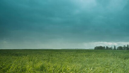 Wall Mural - 4k Hyper Lapse Dramatic Sky With Rain Clouds On Horizon Above Rural Landscape Wheat Field. Country Road. Agricultural And Weather Forecast Concept. Time Lapse, Timelapse, Time-lapse. 4k. Wheat Spring