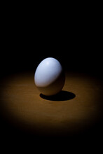 Egg On Black
