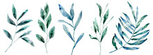 Watercolor Plants, Green. Watercolor Texture, Splash. Watercolor Floral On White Background. Similar Illustration Leaf Geen Color