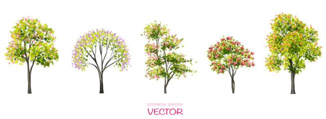 Vector watercolor blooming flower tree or forest side view isolated on white background for landscape and architecture drawing,elements for environment or and garden,botanical element for section 