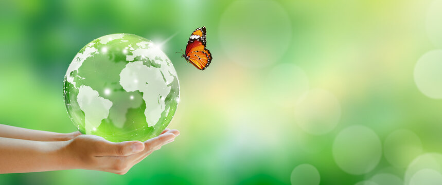 Wall Mural -  - Globe crystal glass ball in hand with butterfly. Green Sunny background with bokeh. World mental health and World earth day. Saving environment and World Ecology Concept.