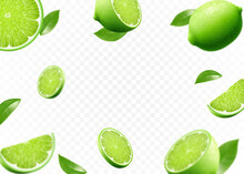 Flying Fresh Limes And Lime Slices With Leaves. With Blur Effect. Vector 3d Realistic Illustration Isolated On White Background.