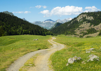 Path through the meadow in the National Park of the Pyrenees National Park, France