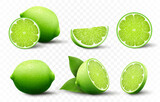 Set of fresh Lime. Whole, half, cut slice lime fruits isolated on transparent background. Summer citrus for healthy lifestyle. Organic fruit. Realistic 3d Vector illustration for any design.