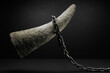 Rhinoceros horn chained and led to extinction by the greedy poaching burden.