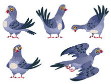 Cartoon Cute Pigeon Character In Different Pose And Emotions Isolated Set Collections. Vector Cartoon Design Element Illustration