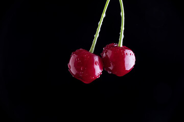 Wall Mural - tasty juicy cherries in water droplets