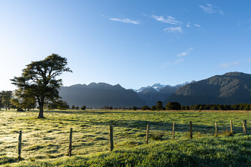 Canvas Print - Mountains backdrop to New Zealand rural sunrise landscape