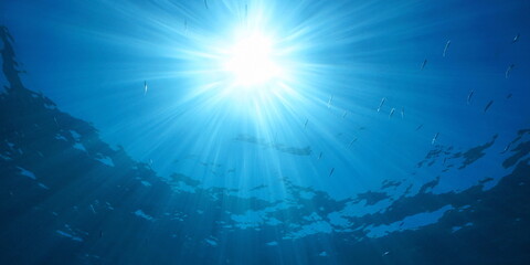 Wall Mural - Bright sunlight with sunbeams under water surface in the sea with some small fish, natural scene, Mediterranean