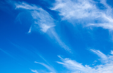 Wall Mural - blue sky background with white clouds