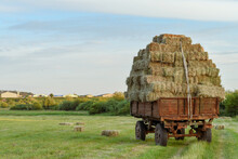 Tractor Trailer Heavily Loaded With Hay Bales In The Countryside. 