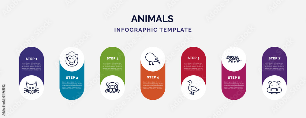 infographic template with icons and 7 options or steps. infographic for ...