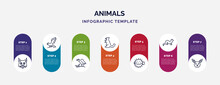 Infographic Template With Icons And 7 Options Or Steps. Infographic For Animals Concept. Included Pallas Cat, Hawk, Vulture, Sable, Puffer, Ermine, Jerboa Icons.