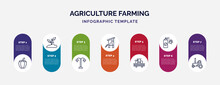 Infographic Template With Icons And 7 Options Or Steps. Infographic For Agriculture Farming Concept. Included Capsicum, Plant Sprout, Lamppost, Chicken Coop, Combine Harvester, Insecticide,