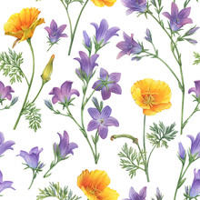 Seamless Pattern With Bluebell (rapunzel, Bellflower, Campanula Patula) And Golden Eschscholzia (California Poppy) Flowers. Hand Drawn Watercolor Painting Illustration Isolated On White Background.