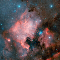 Wall Mural - north america nebula. ncg 7000 in constellation of cygnus.