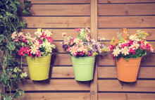 Colorful Artificial Plastic Flower In Flower Pots Hanging With Fence
