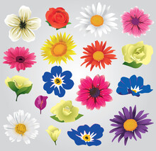 Set Of Flowers Isolated