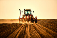 Farmer In Tractor Seeding Soybean Crops At Arable Field