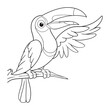 coloring pages or books for kids. cute toucan  cartoon illustration