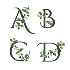 A, B, C, D initial letters; watercolor floral monograms with melissa twigs, isolated on white. Dark green serif alphabet. For wedding invitations and cards, special event and celebration materials