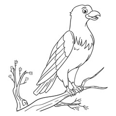 Canvas Print - coloring pages or books for kids. cute eagle cartoon illustration