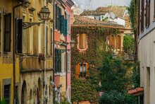 Traditional Street Houses With Vivid Hanging Plants Greenery In The Trastevere Old Town Borough, Rome, Lazio, Italy