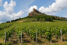 Solutre Rock And Vineyards In Saone Et Loire, Burgundy