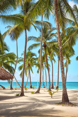 Poster - Palm trees on the beach of Saona island, Caribbean. Summer landscape.