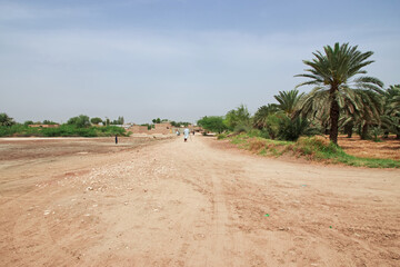 Wall Mural - The village close Kot Diji Fort in Khairpur District, Pakistan