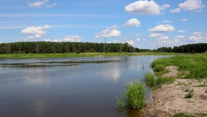 Wall Mural - River Bug near Szumin village, Masovia region of Poland, 4k video