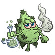 Stoned marijuana bud cartoon character smoking a glass water bong