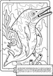 prehistoric water dinosaur ichthyosaurus, coloring for children, contour illustration