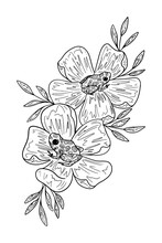 Graphic Illustration Of A Flower And Frog Line. Art Sketch For Tattoo