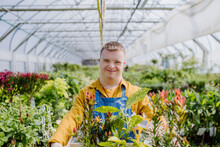 Young Man With Down Syndrome Working In Garden Centre, Carrying Basket With Plants.