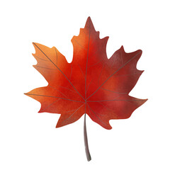 Wall Mural - Bright autumn leaf. Cartoon style. Vector design.