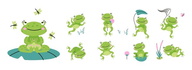 Wall Mural - Cute green frogs. Croaking frog on nature, cartoon toad with lotus and leaves. Kids tropical amphibian, isolated jumping relaxing quirky nowaday vector animal