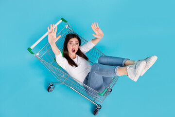 Poster - Top high angle view photo screaming girl in pushcart catch big bargains coupons black friday isolated on blue color background