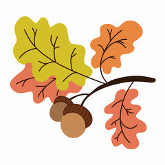 Wall Mural - Vector illustration of an oak branch with leaves and acorns