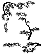 Long Elegant Asian Style Pine Branches Forming Frame Corner And Borders - Black And White Conifer Tree Vector Silhouette Set